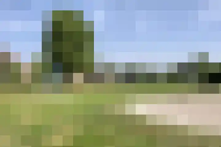 Kees de Beverpad 27 Eindhoven thumbnail 29