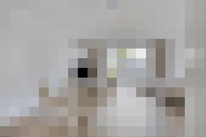 Kees de Beverpad 27 Eindhoven thumbnail 5