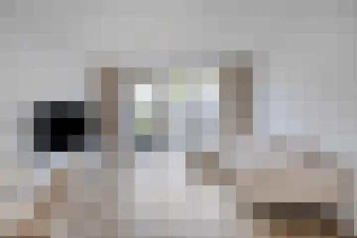 Kees de Beverpad 27 Eindhoven thumbnail 6