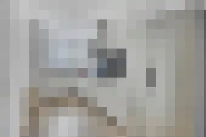 Kees de Beverpad 27 Eindhoven thumbnail 8