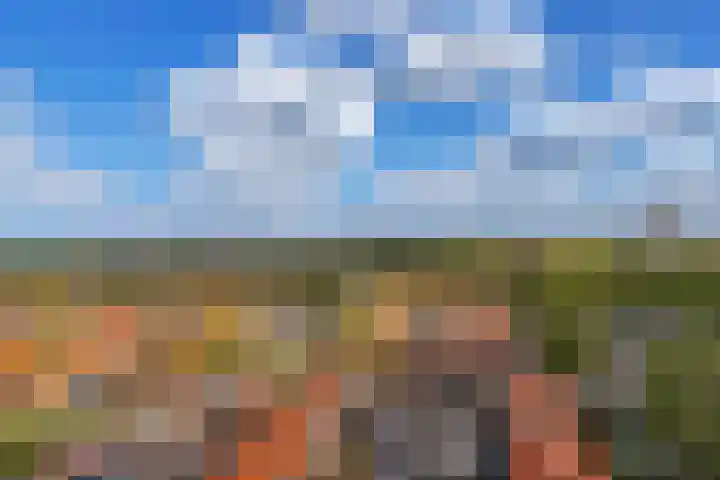 Kees Delfsweg 70 Beverwijk thumbnail 10