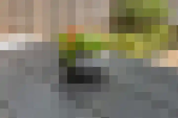 Kees Delfsweg 70 Beverwijk thumbnail 37