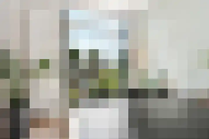 Kees Delfsweg 70 Beverwijk thumbnail 57
