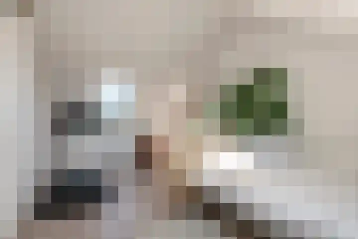 Kees van Lintstraat 41 Culemborg thumbnail 31
