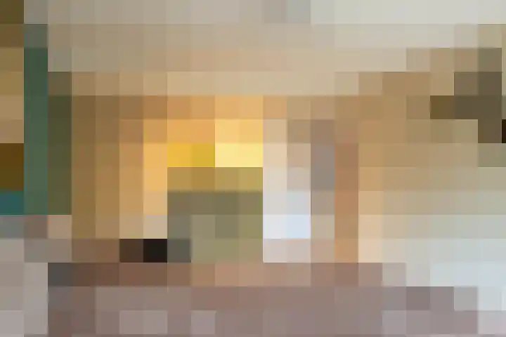 Keesomstraat 17 Hoogerheide thumbnail 23