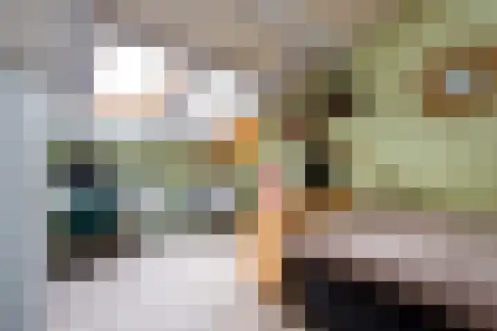 Keesomstraat 17 Hoogerheide thumbnail 32