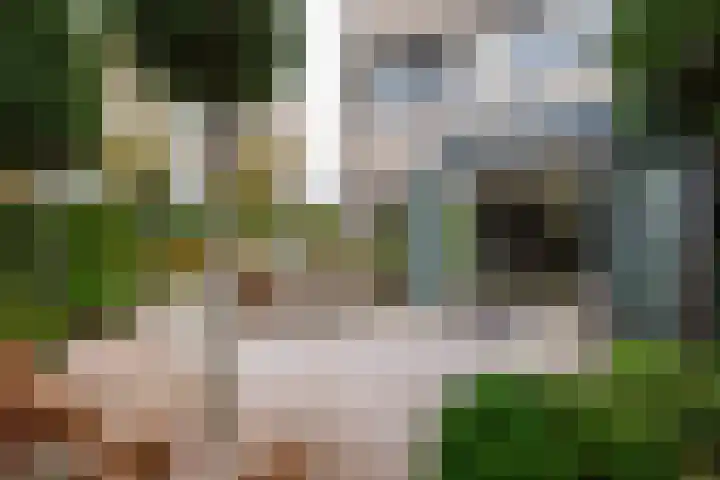 Keesomstraat 17 Hoogerheide thumbnail 37