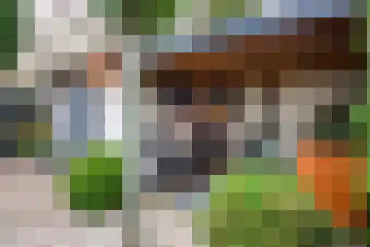 Keesomstraat 17 Hoogerheide thumbnail 41