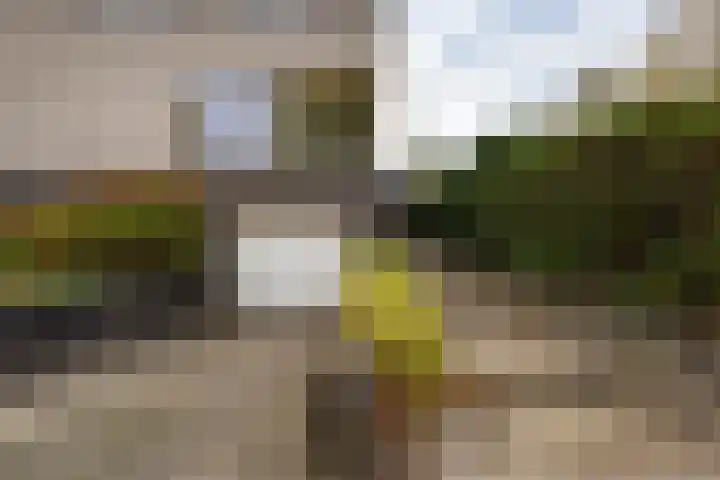 Keesomstraat 17 Hoogerheide thumbnail 45