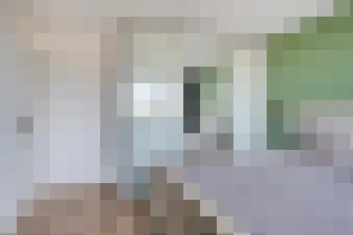 Keeten 7 Hansweert thumbnail 20
