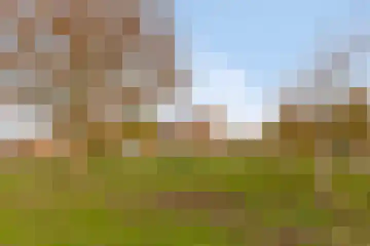 Keeten 7 Hansweert thumbnail 47
