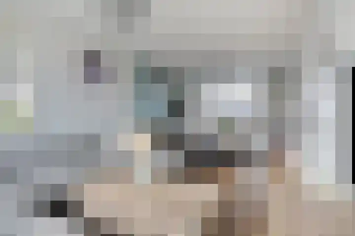 Keeten 7 Hansweert thumbnail 9