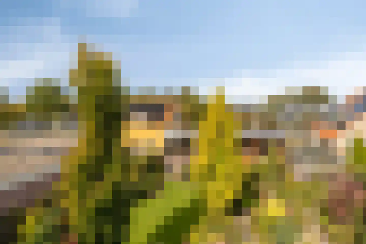 Keetzijde 14 Edam thumbnail 28