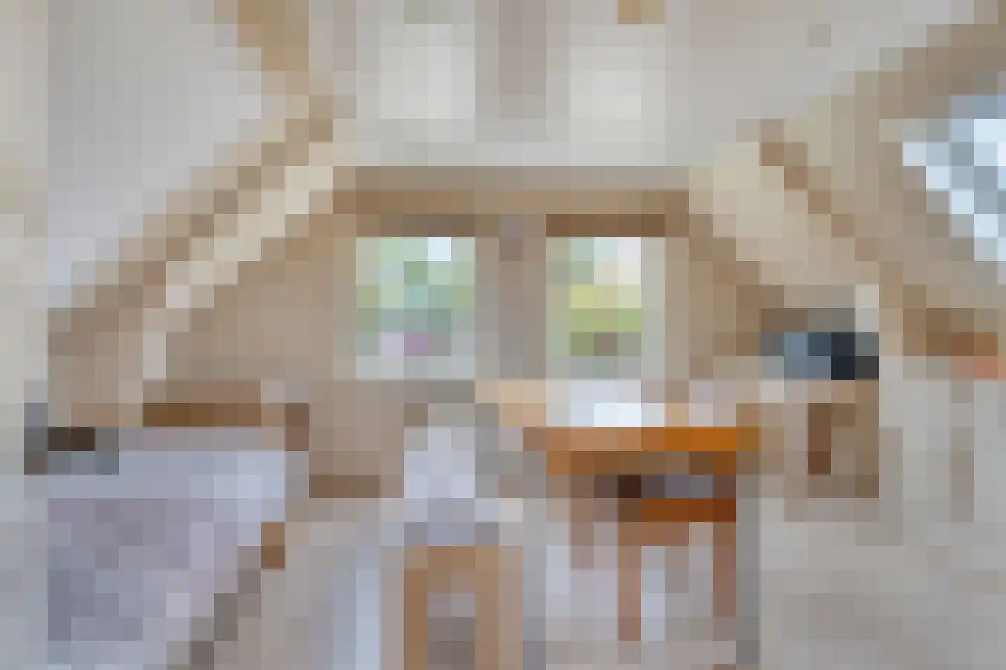 Keetzijde 14 Edam thumbnail 32