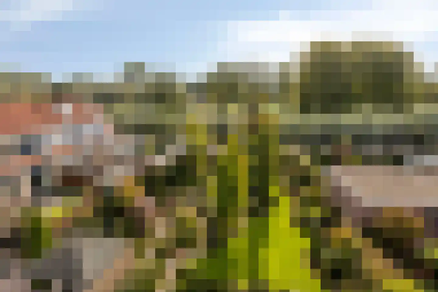 Keetzijde 14 Edam thumbnail 37