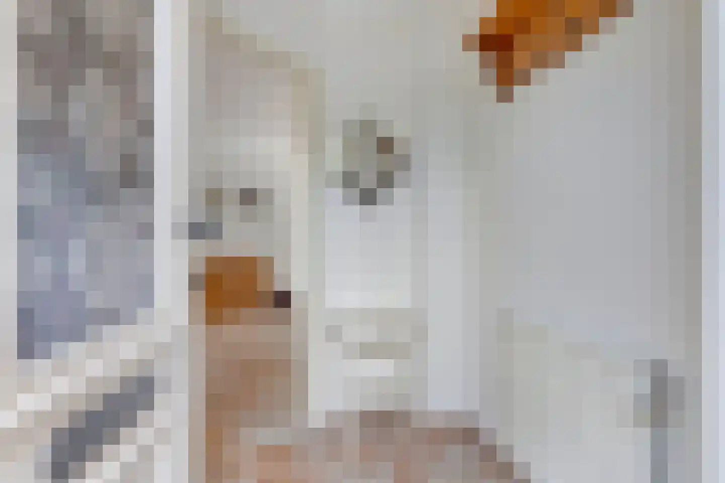 Keetzijde 14 Edam thumbnail 8