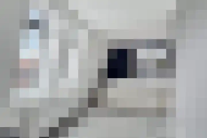 Keiweg 53 Wolvega thumbnail 16