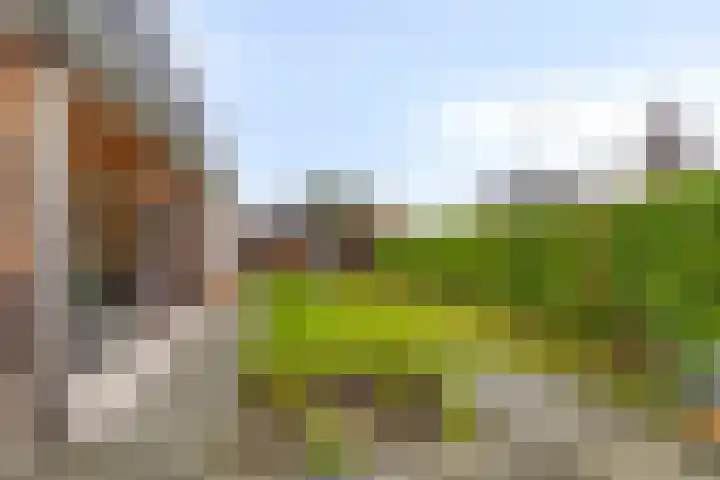 Keiweg 53 Wolvega thumbnail 31
