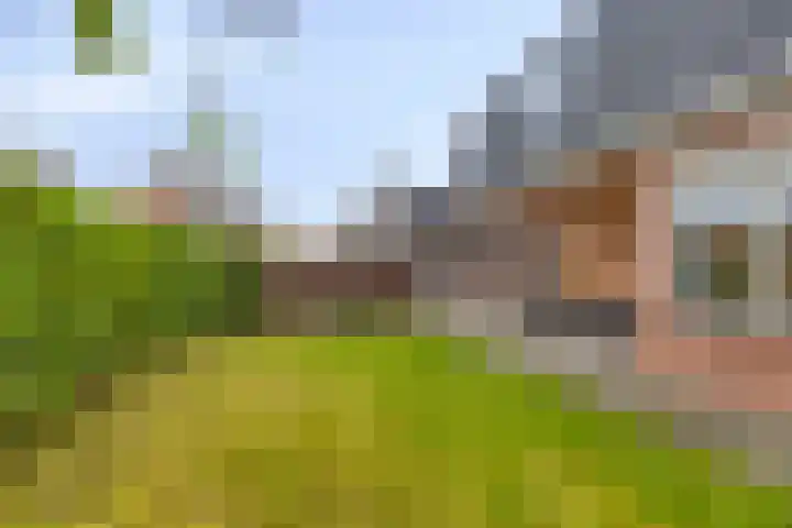 Keiweg 53 Wolvega thumbnail 33