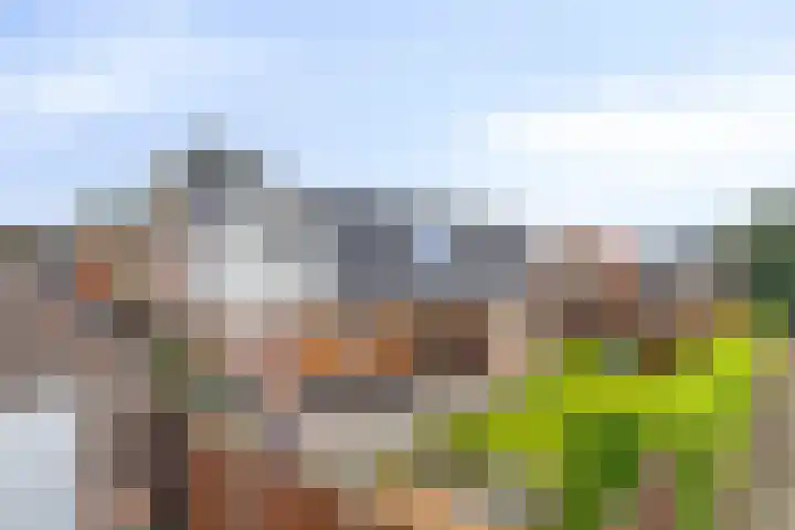 Keiweg 53 Wolvega thumbnail 42