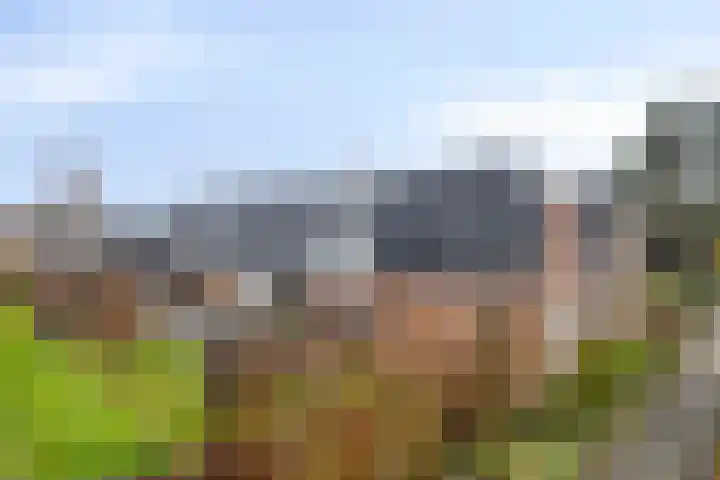 Keiweg 53 Wolvega thumbnail 43
