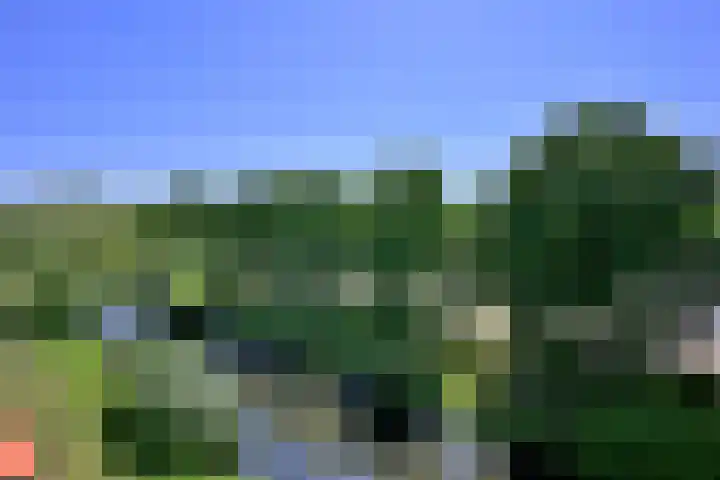 Keizer Frederikstraat 183 Deventer thumbnail 23