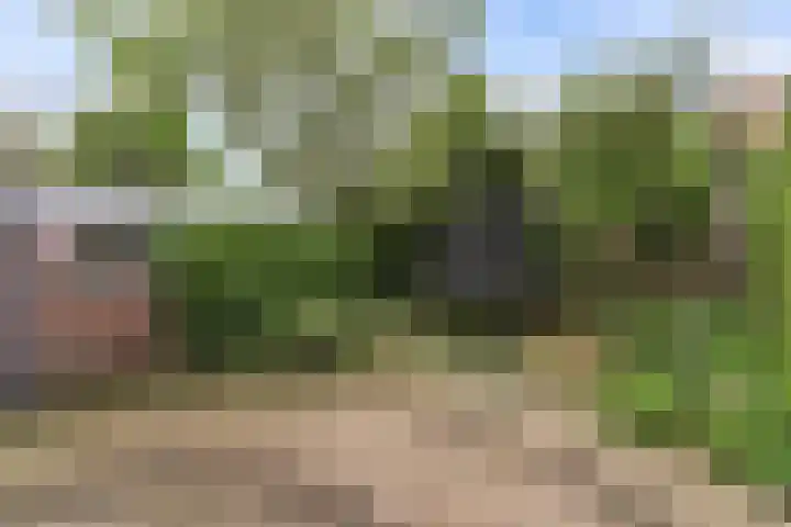 Keizer Karelweg 235 Amstelveen thumbnail 33