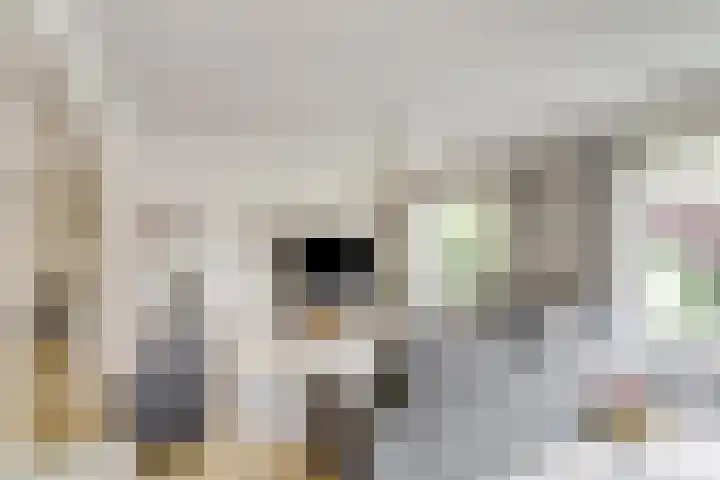 Keizer Karelweg 235 Amstelveen thumbnail 8