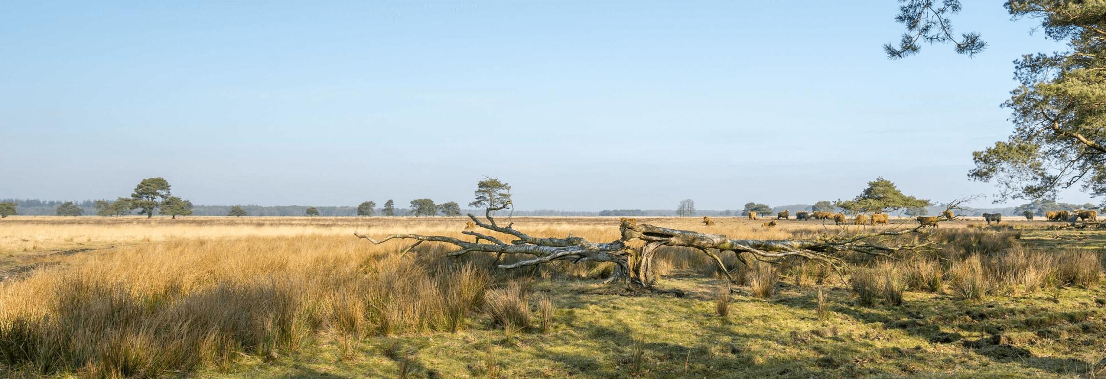 Foto van het kantoor van Keizer Makelaardij