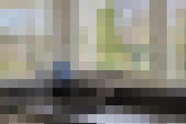 Keizersbosch 15 Gemert thumbnail 15