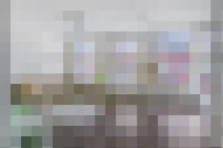 Keizersbosch 15 Gemert thumbnail 16