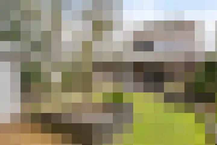 Keizersbosch 15 Gemert thumbnail 32