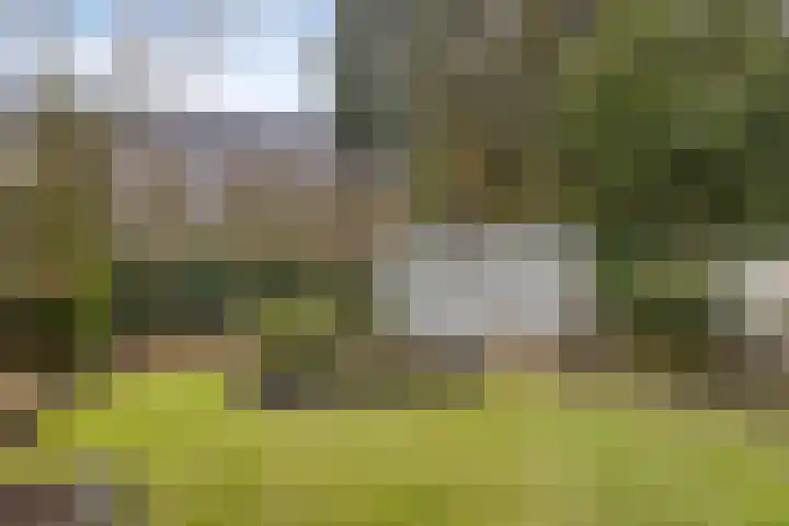 Keizersbosch 15 Gemert thumbnail 35