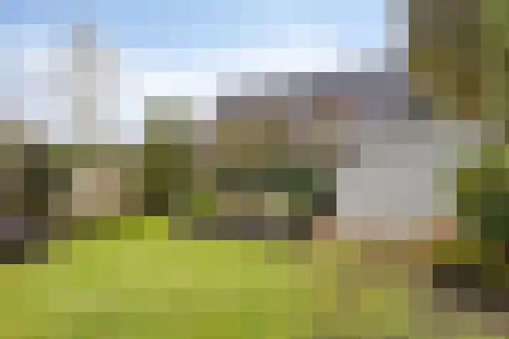 Keizersbosch 15 Gemert thumbnail 36