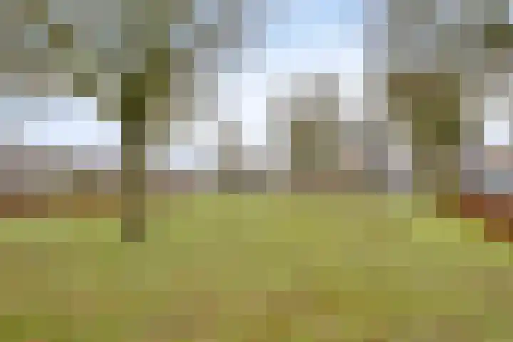 Keizersbosch 15 Gemert thumbnail 38