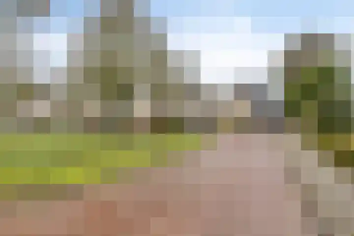 Keizersbosch 15 Gemert thumbnail 40