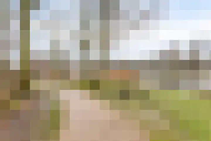 Keizersbosch 15 Gemert thumbnail 43