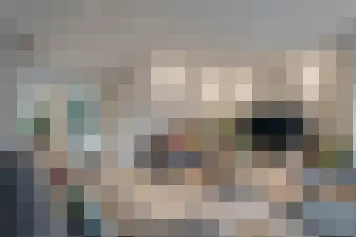 Keizerschild 7 Dronten thumbnail 13