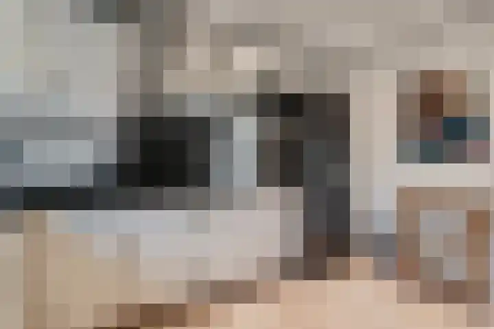 Keizerschild 7 Dronten thumbnail 22