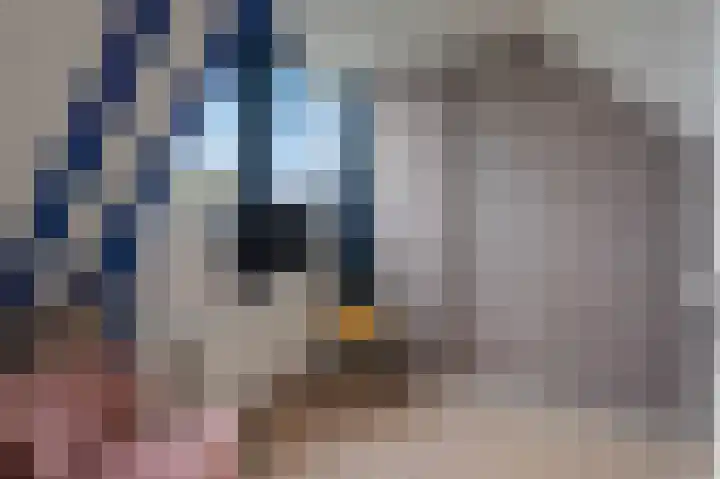 Keizerschild 7 Dronten thumbnail 33