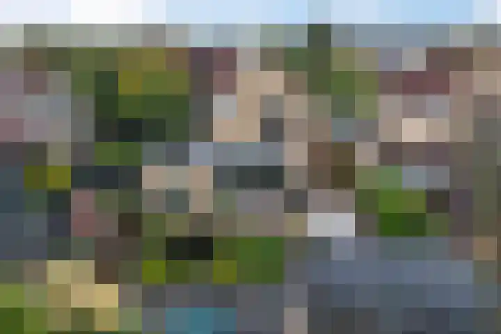 Keizerschild 7 Dronten thumbnail 43