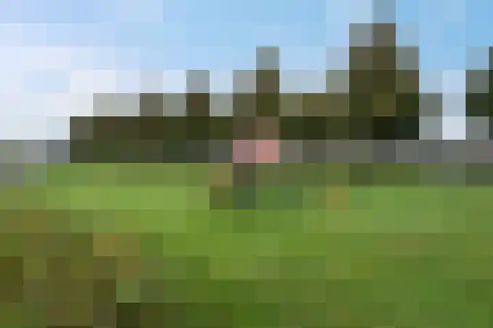 Keizerschild 7 Dronten thumbnail 44