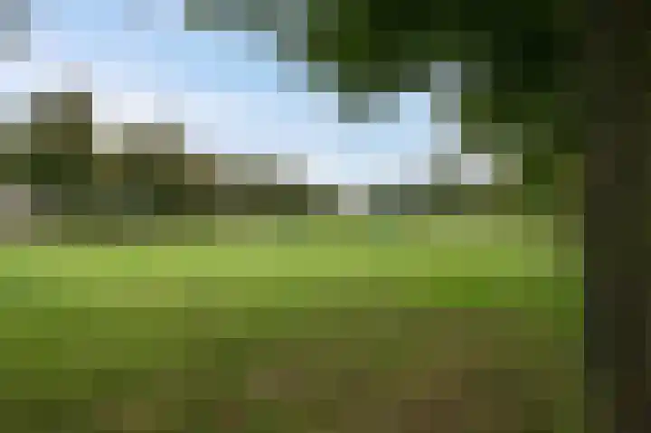 Keizerschild 7 Dronten thumbnail 45