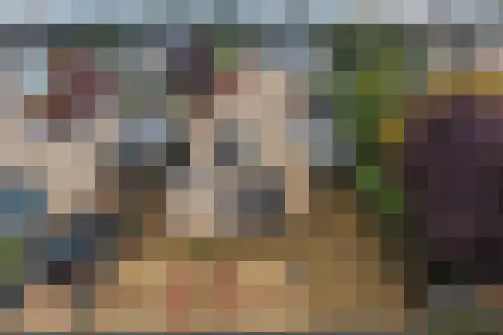 Keizerschild 7 Dronten thumbnail 5