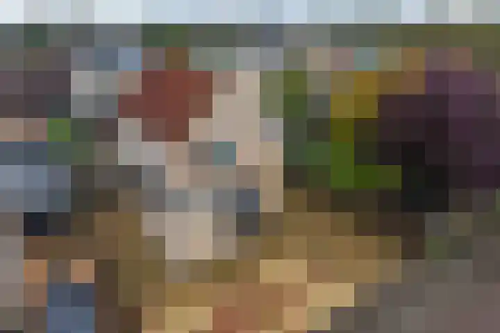 Keizerschild 7 Dronten thumbnail 6
