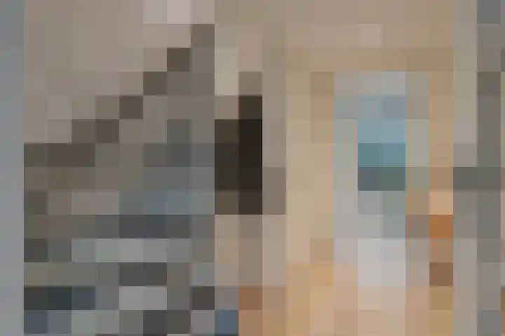 Keizerschild 7 Dronten thumbnail 9