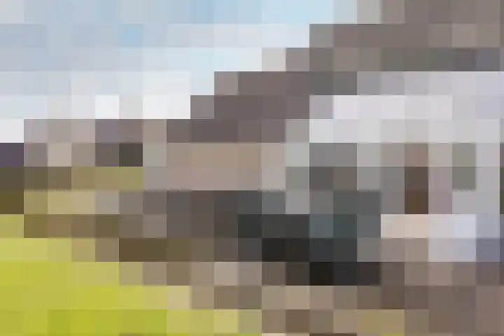 Keizersdijk 72 Strijen thumbnail 33
