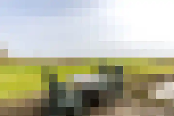Keizersdijk 72 Strijen thumbnail 6