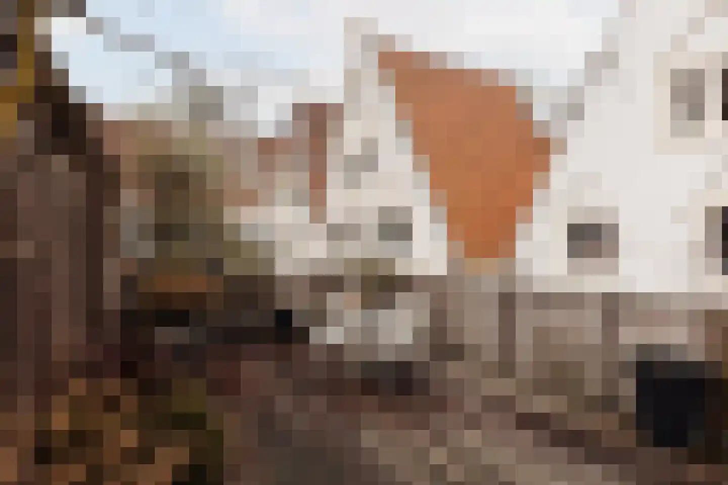Keizersgracht 263 D Amsterdam thumbnail 22