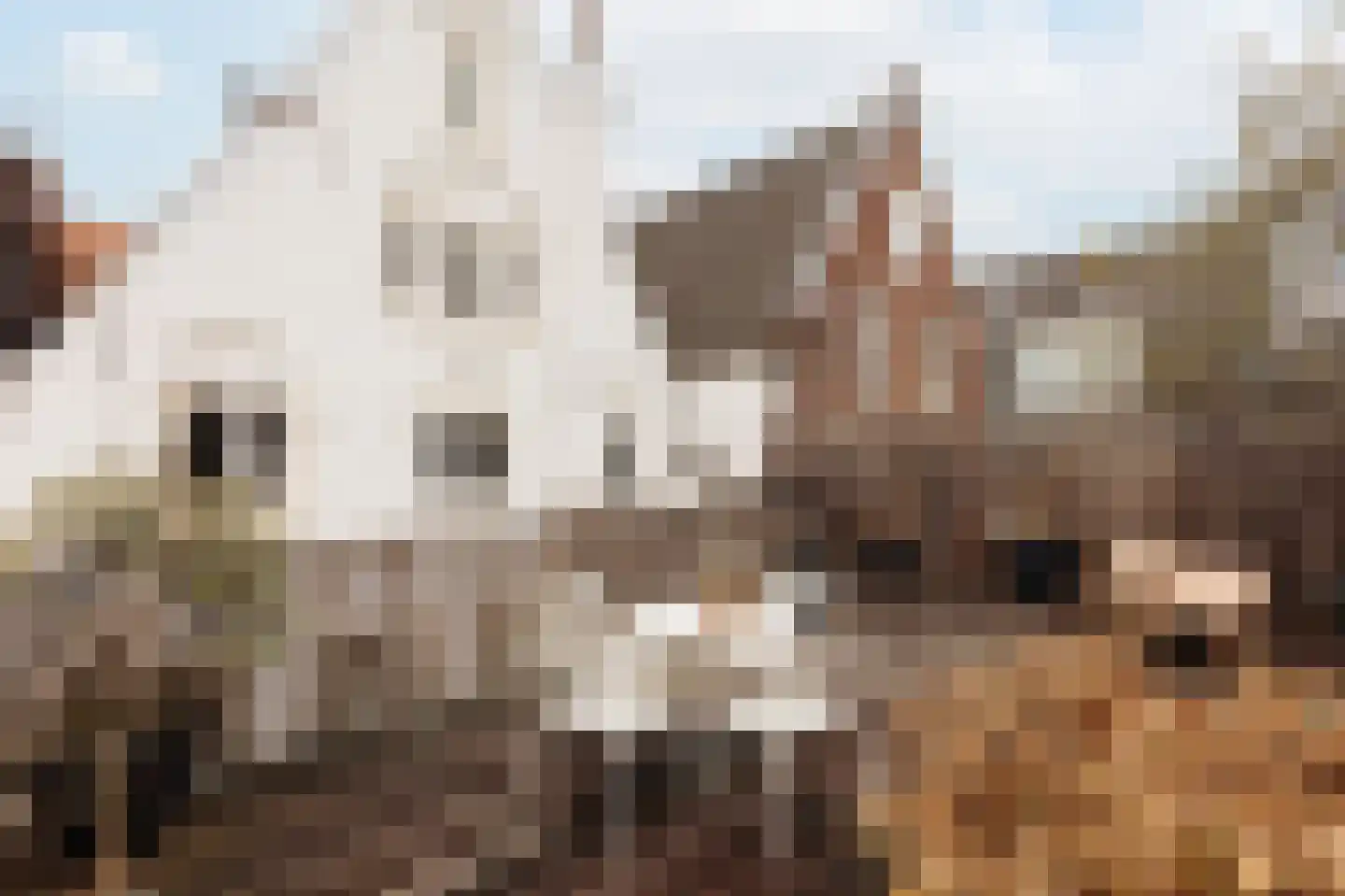 Keizersgracht 263 D Amsterdam thumbnail 4